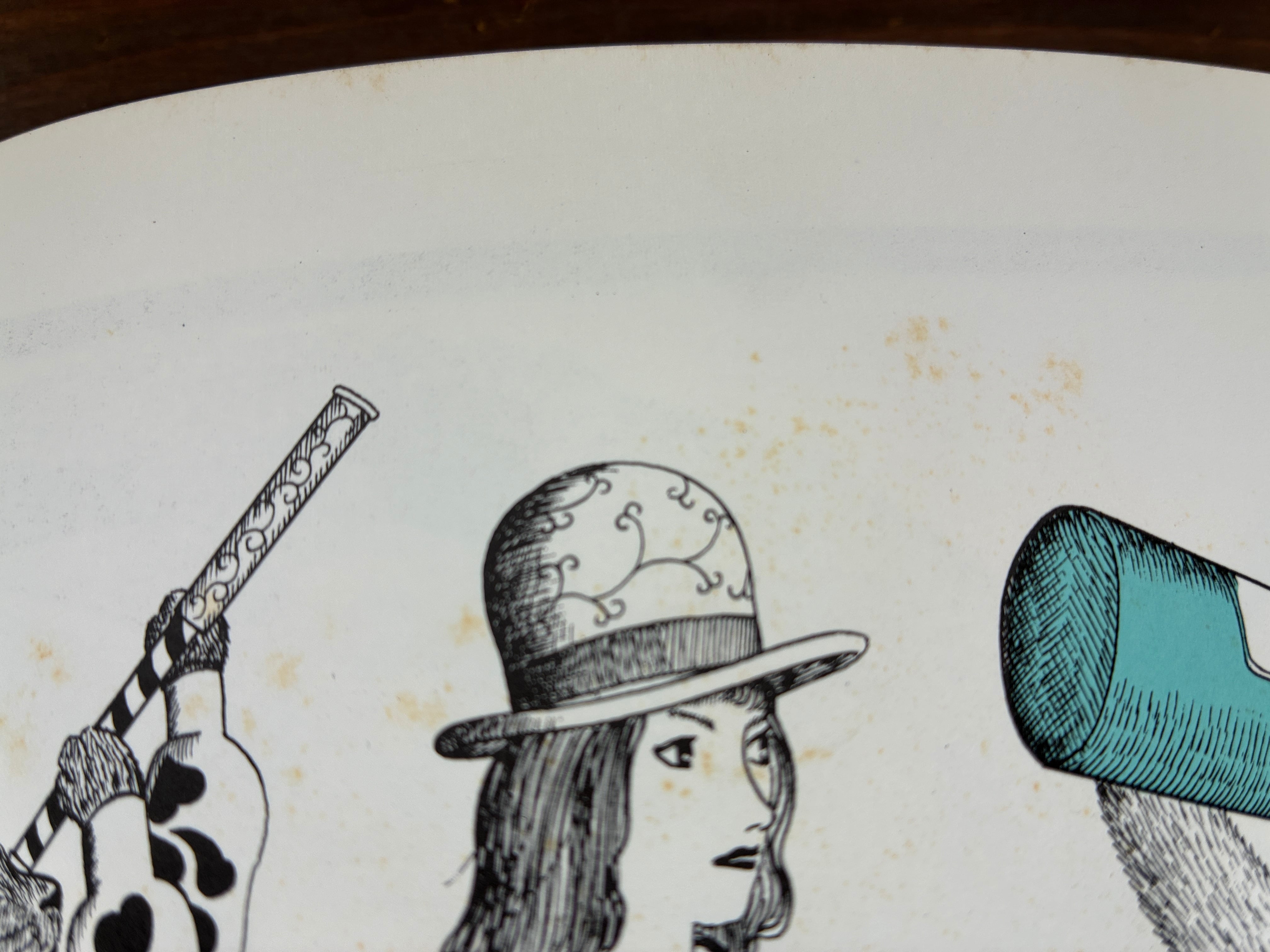 青猫島コスモス紀