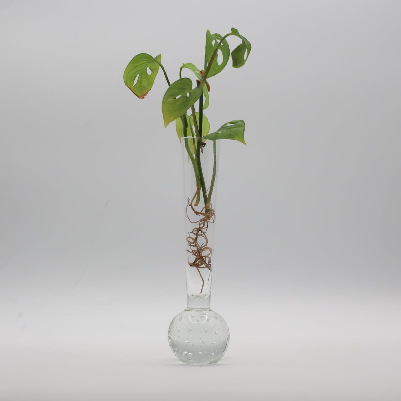 BUBBLE ORCHID VASE 'A' | 1950-70s | Sweden