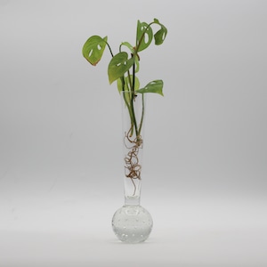 BUBBLE ORCHID VASE 'A' | 1950-70s | Sweden