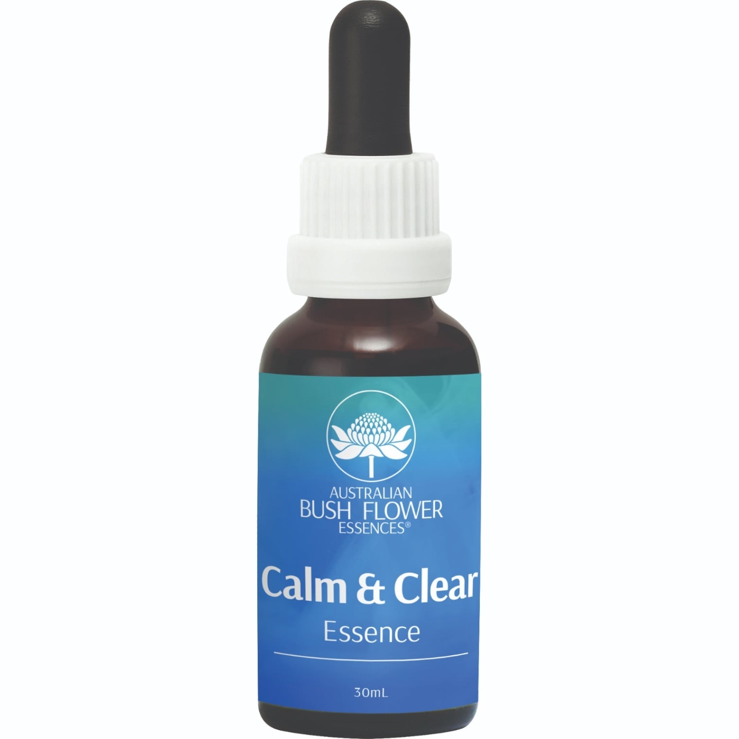 アバンド＜オーストラリア・ブッシュ＞ 豊かさ（ob-c001