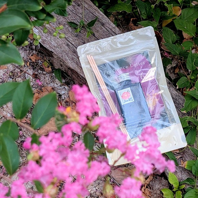 6月：浜茄子