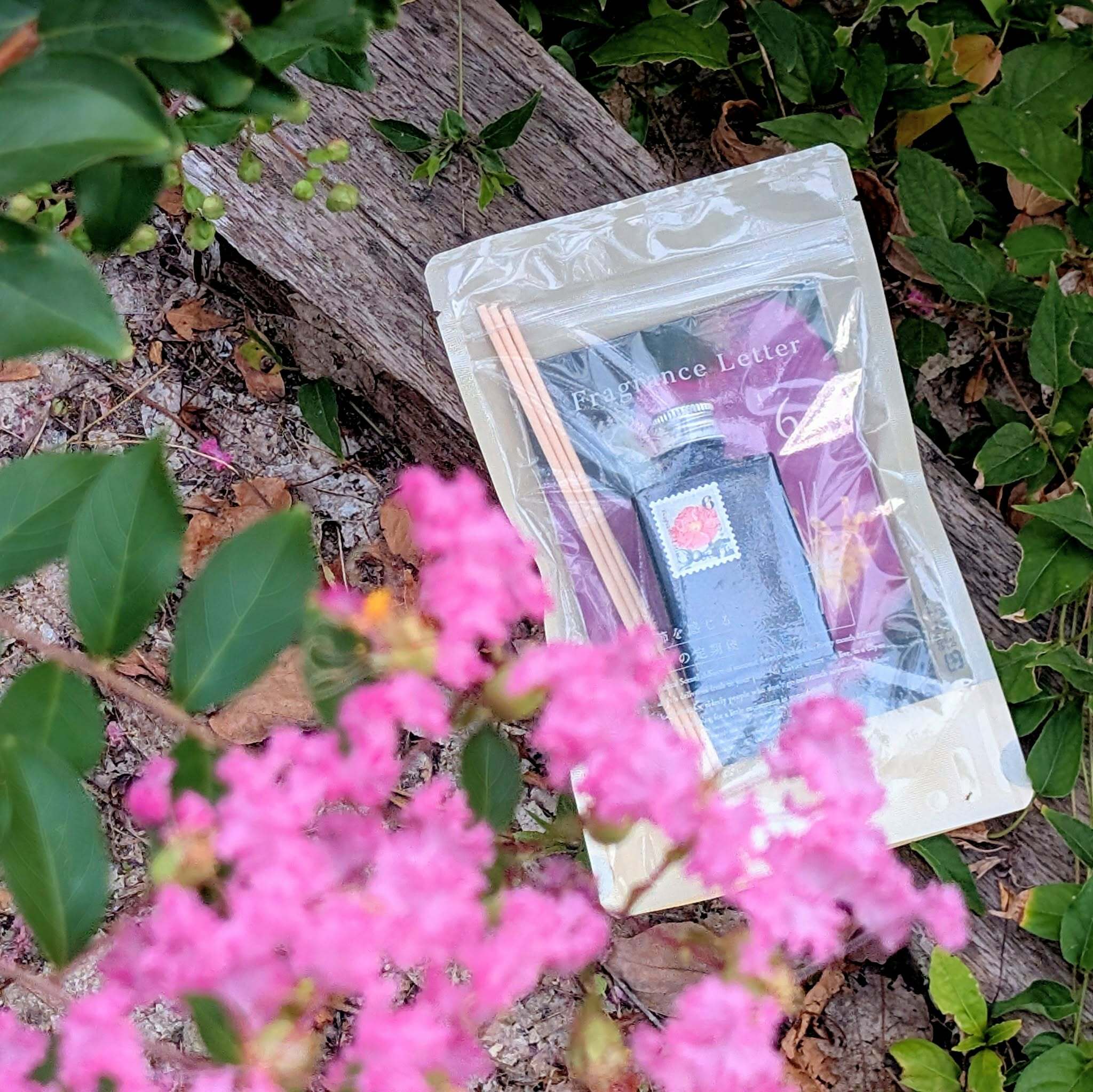 6月:浜茄子