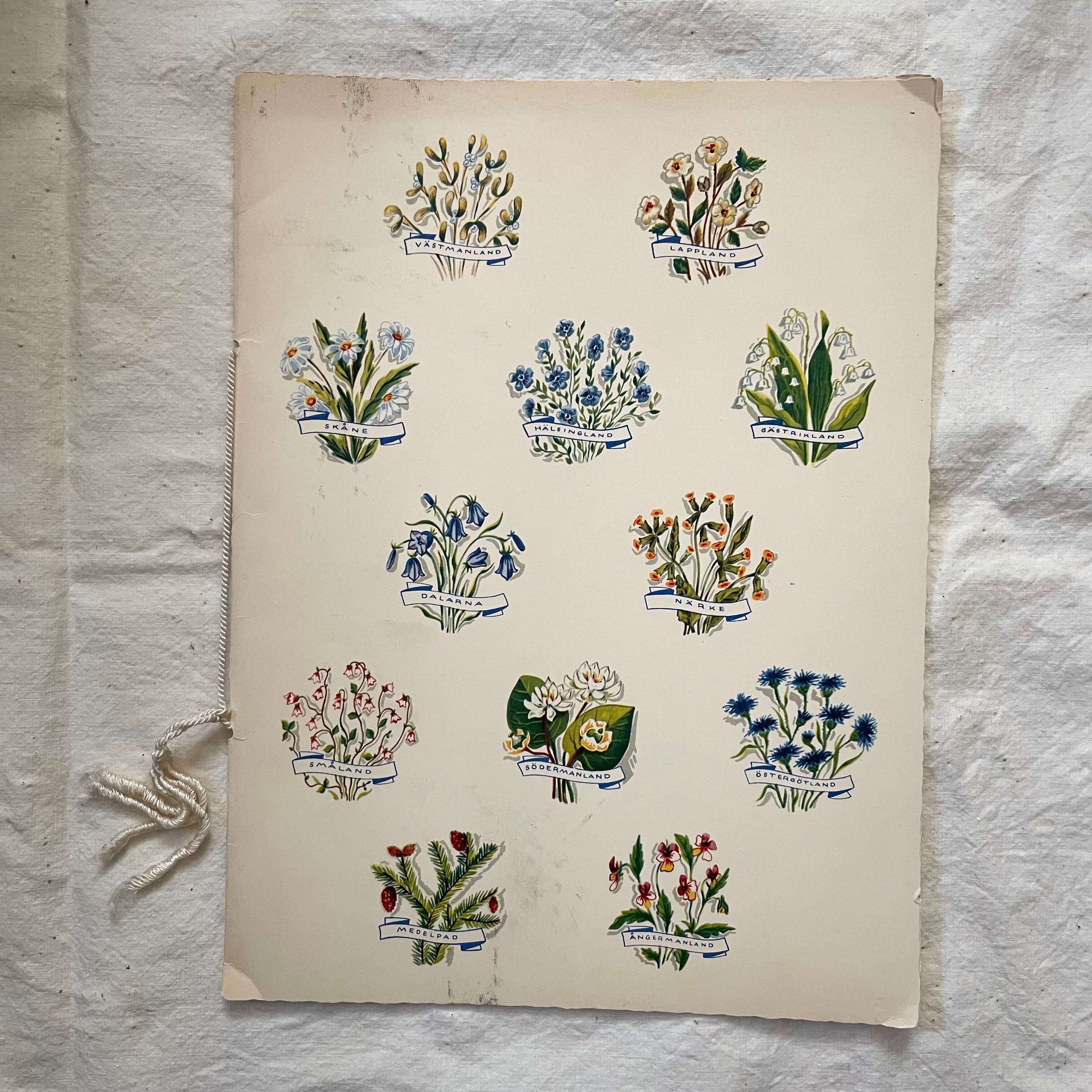 大きなアニバーサリーカード7