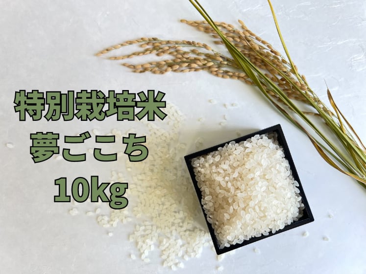 【新米】令和5年産特別栽培米:夢ごこち(10kg)　株式会社EDEN