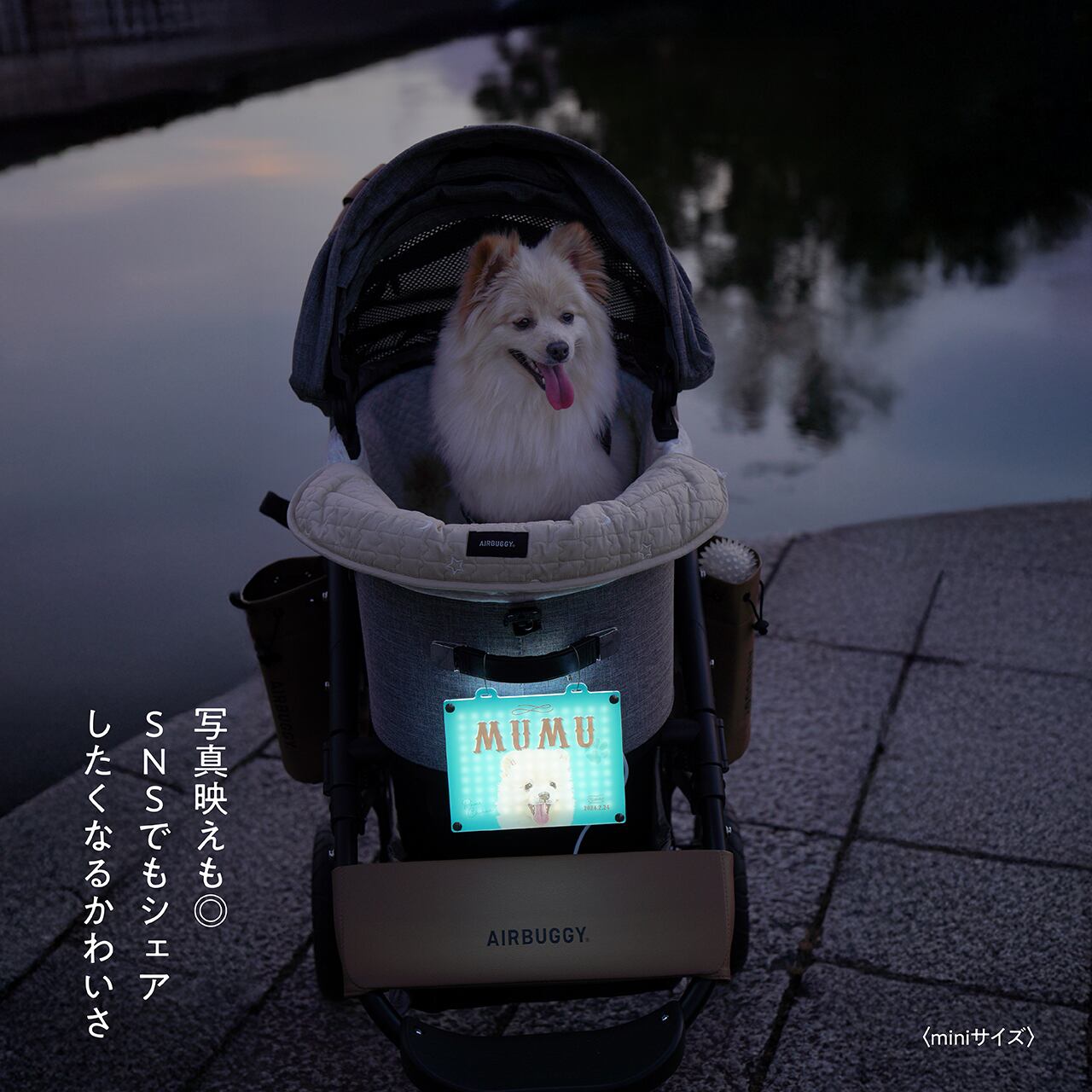 ☆光る】カート ネームプレート〈ヴィンテージ〉 | ひまわんギャラリー