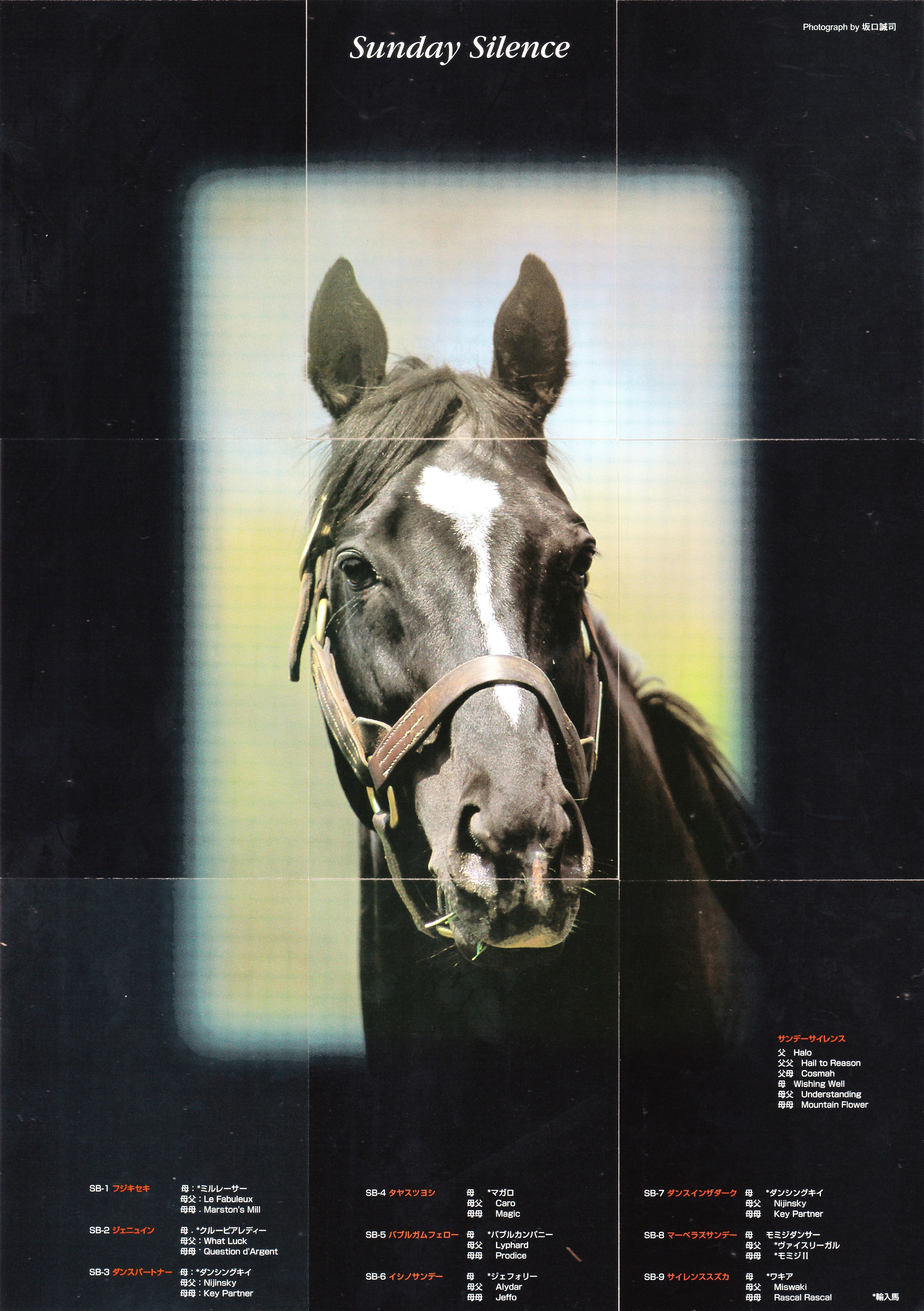 ジェニュイン：第55回 皐月賞「サラブレッドカード 99年上半期」SB2