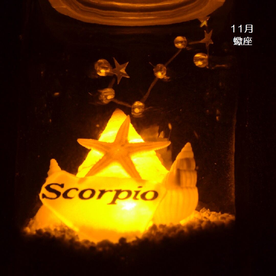 ２電源　星座シェルランプ（11月 蠍座 Scorpio）