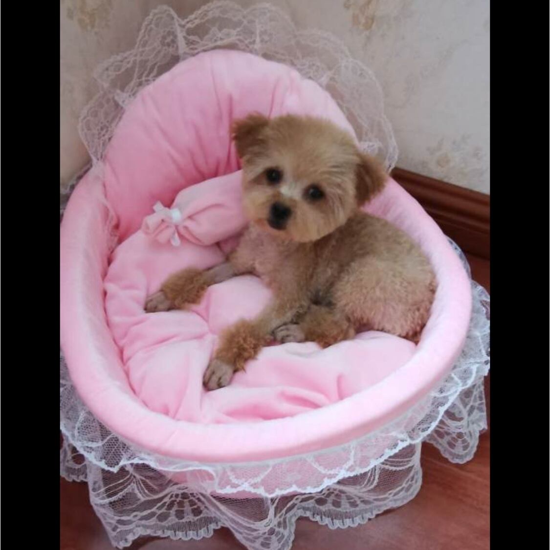 犬用ベッド 猫用ベッド ペットベッド ペットソファ ペットハウス