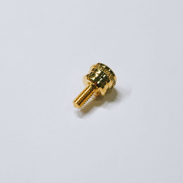 【お客様注文品】特注Saxonorité