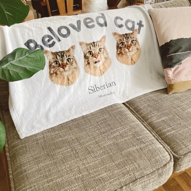 ふわもちうちの子ブランケット