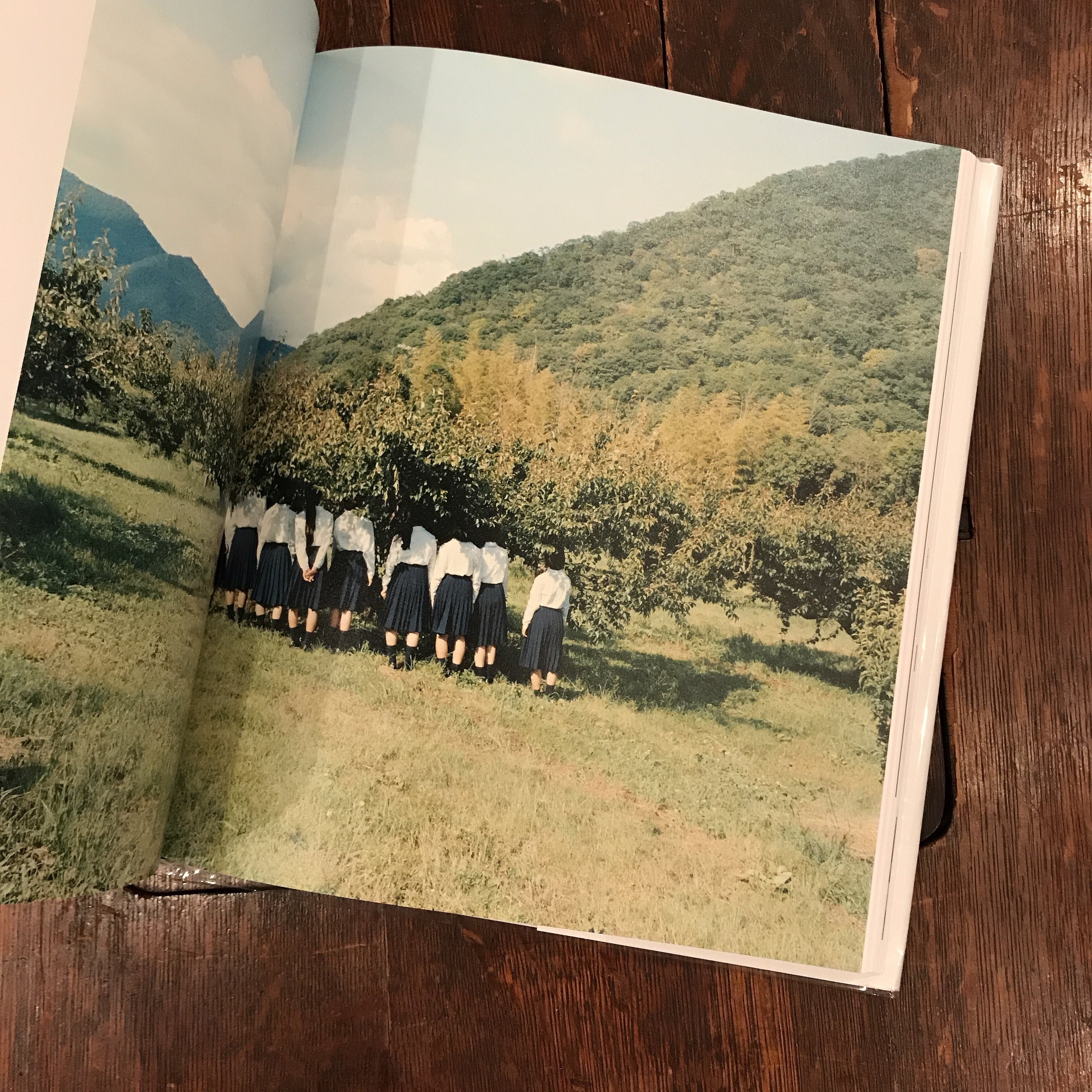 A Selection from a Decade | 百年