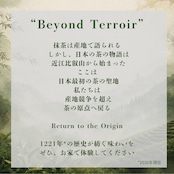 «SAEMON's»最高級抹茶 源茶/聖茶 セット 30g×2袋