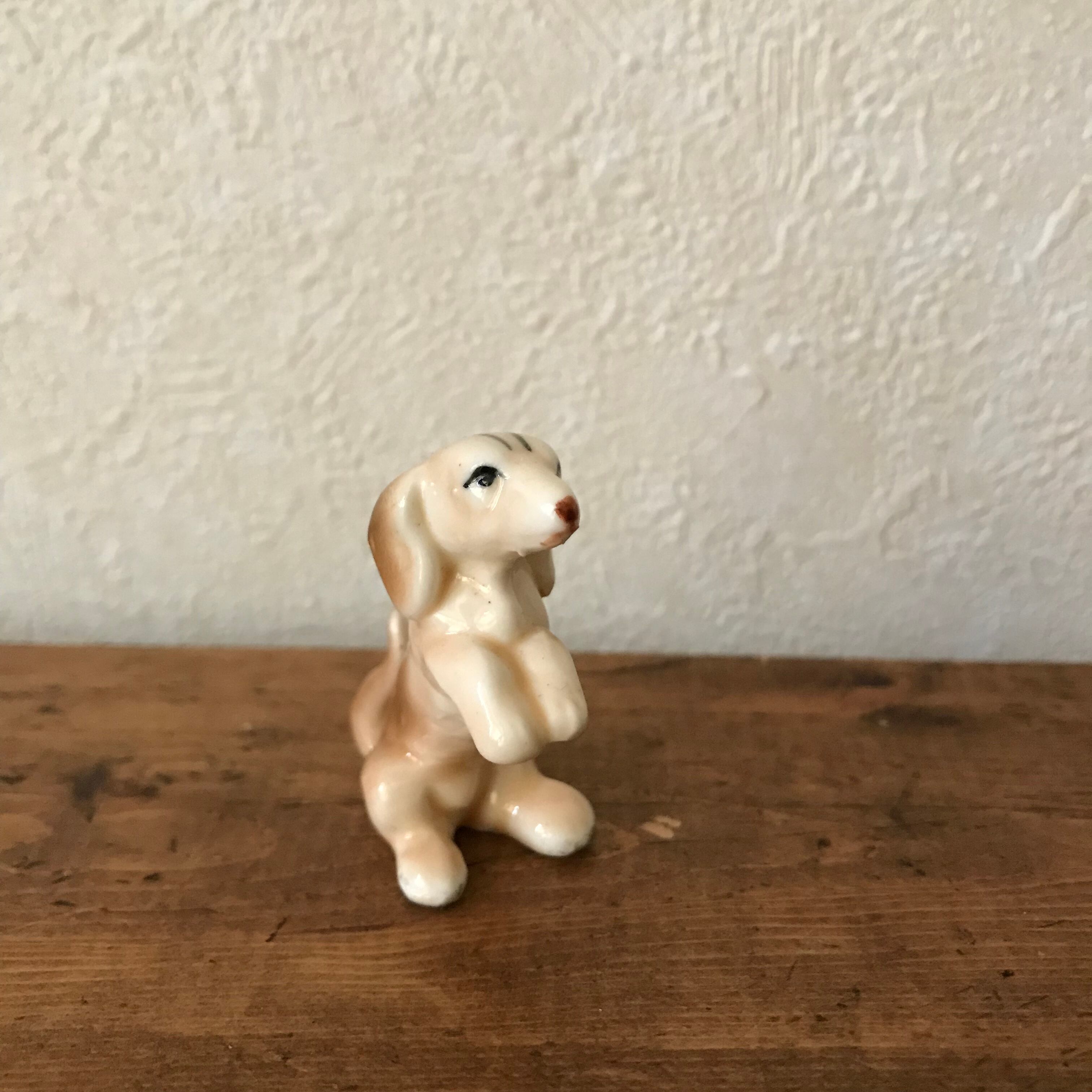 見上げるワンコ