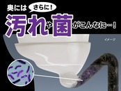 トイレ洗浄中 水洗トイレの便器の底(水溜り部分)洗浄剤 フレッシュミントの香り 6錠 小林製薬 トイレ掃除