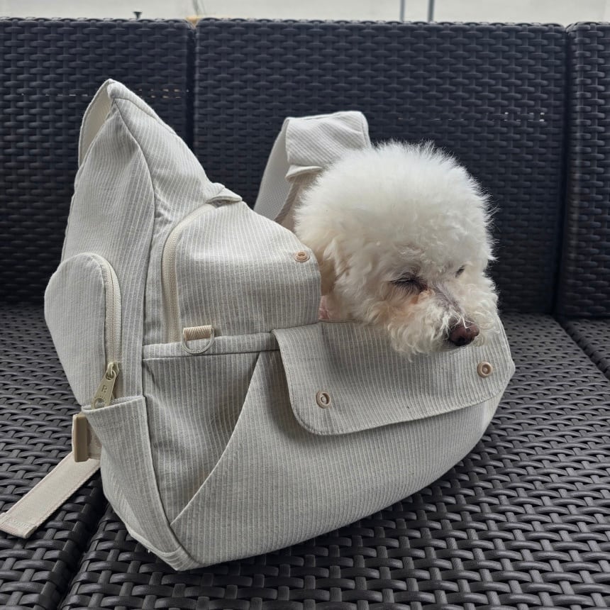 即納/予約【ritogato】voddly plus＋ front bag（チェック） | ropet