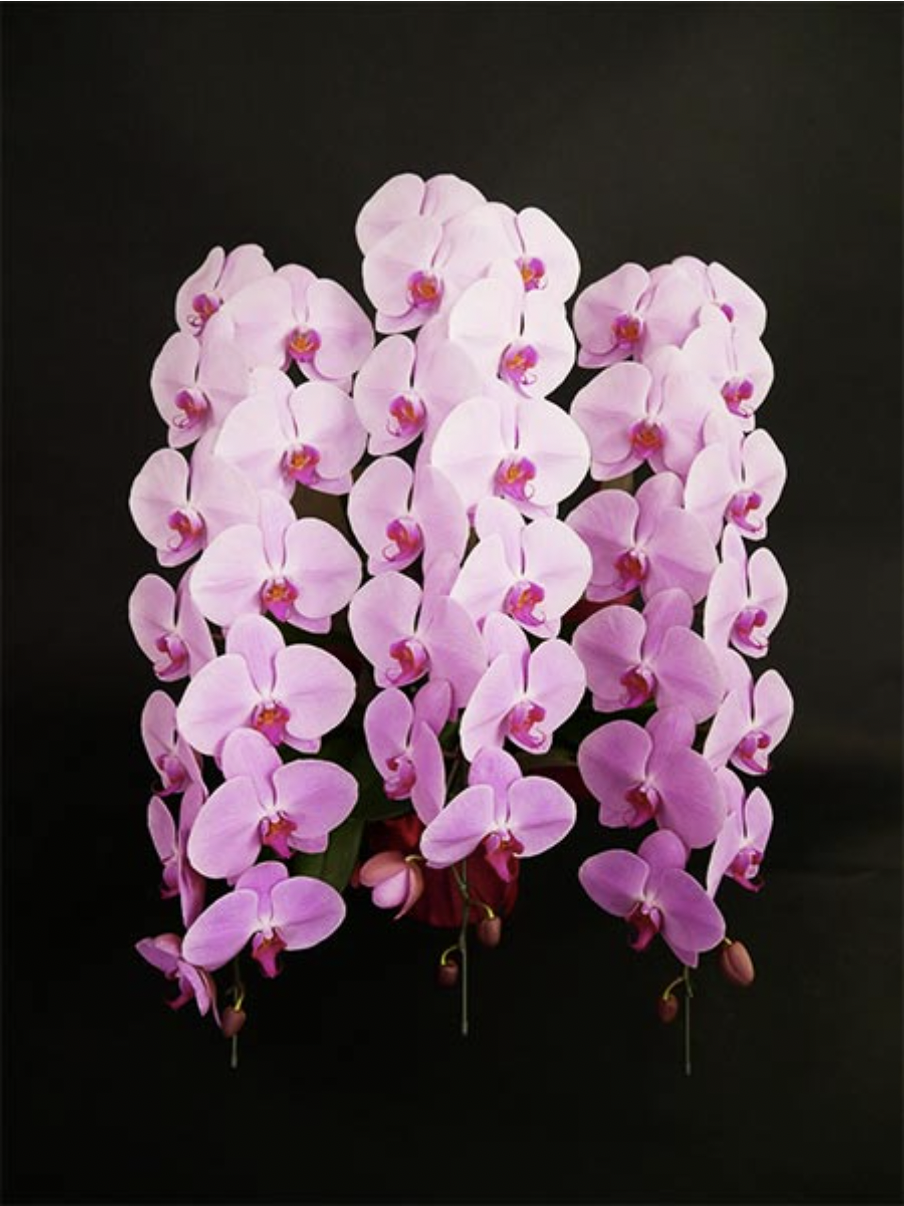 GOODGREEN STORE GOODGREEN STORE