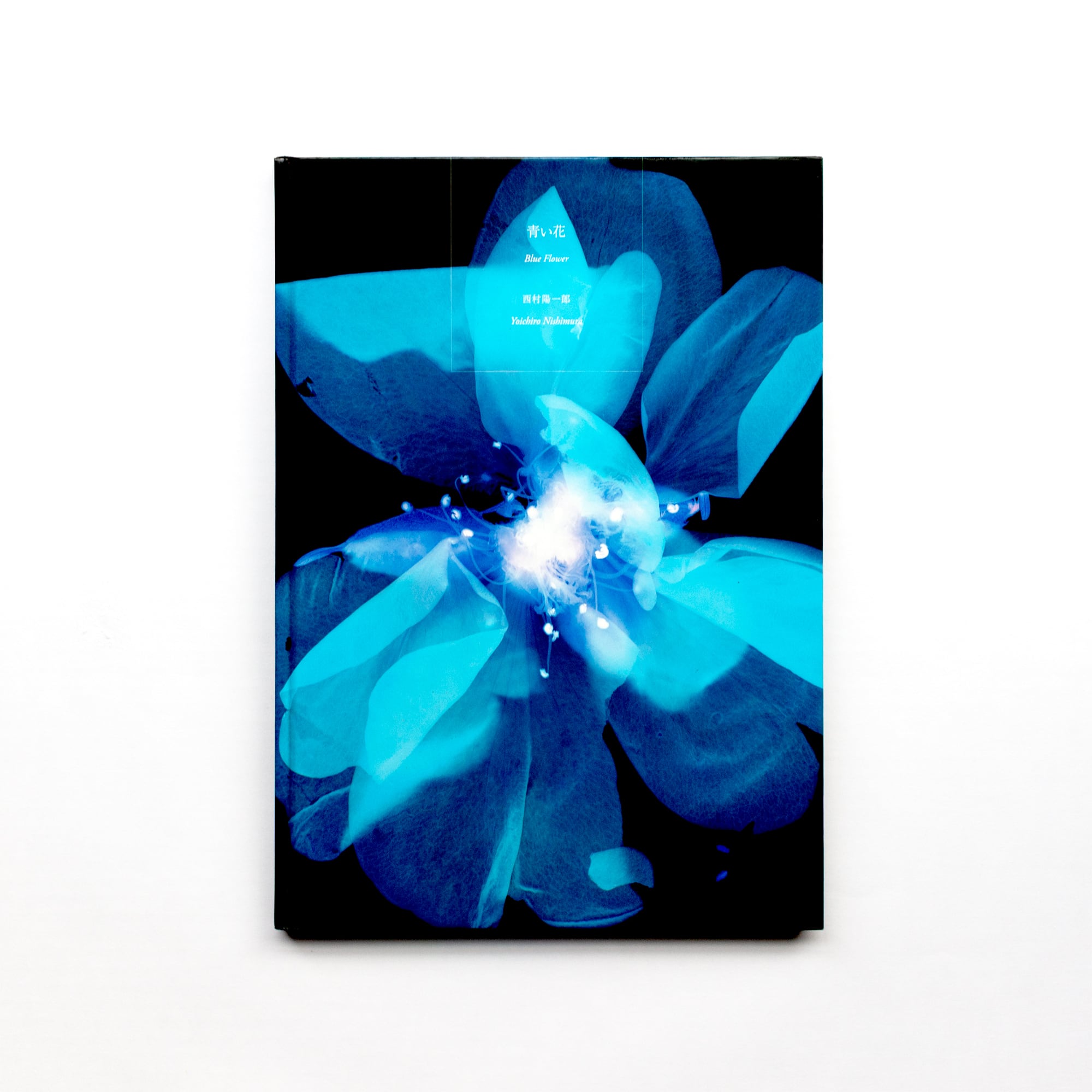 西村陽一郎写真集「青い花」 | みんなのギャラリー｜Minnano Gallery
