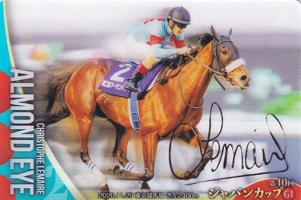 オグリキャップ：第35回 有馬記念「サラブレッドホースコレクション