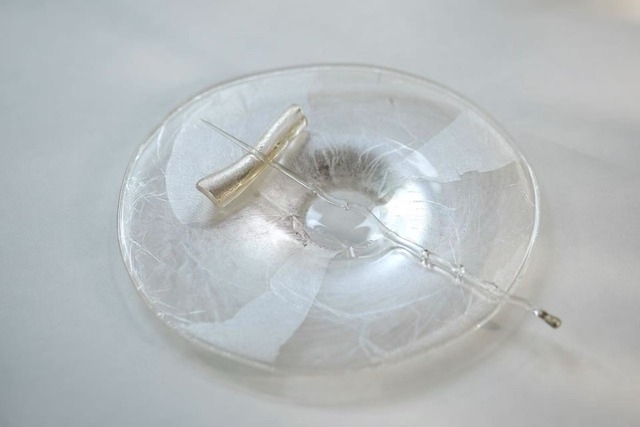 王沁 Wang Qin - 円皿 glass plate
