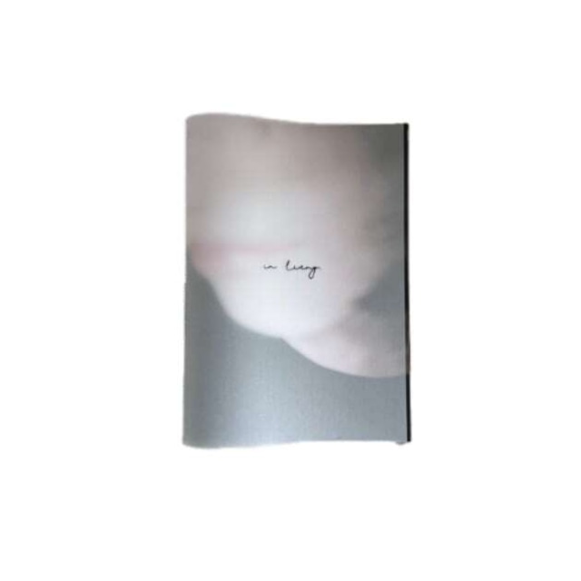 ZINE " in living. "