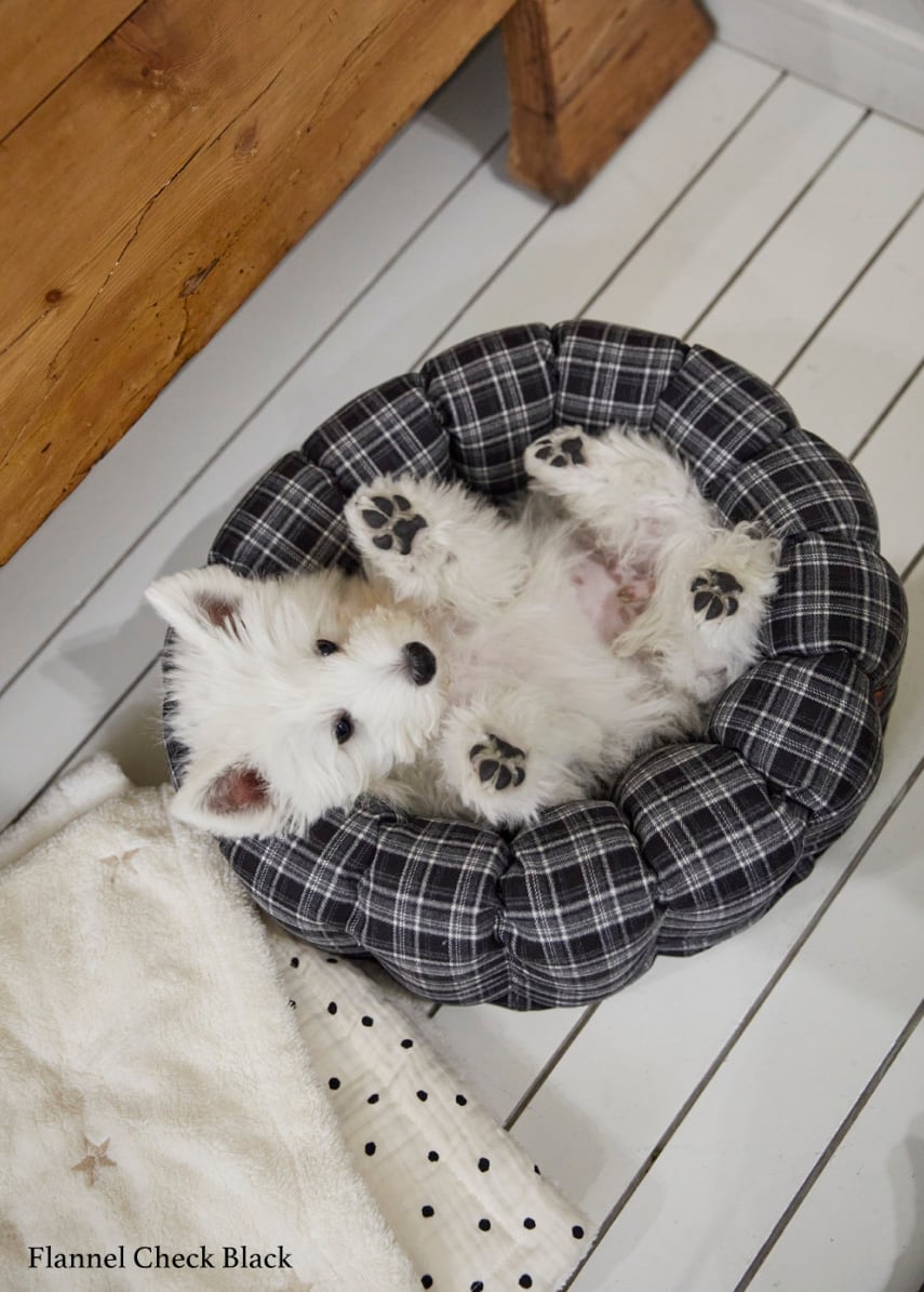 予約【azalea】Flannel Check Black