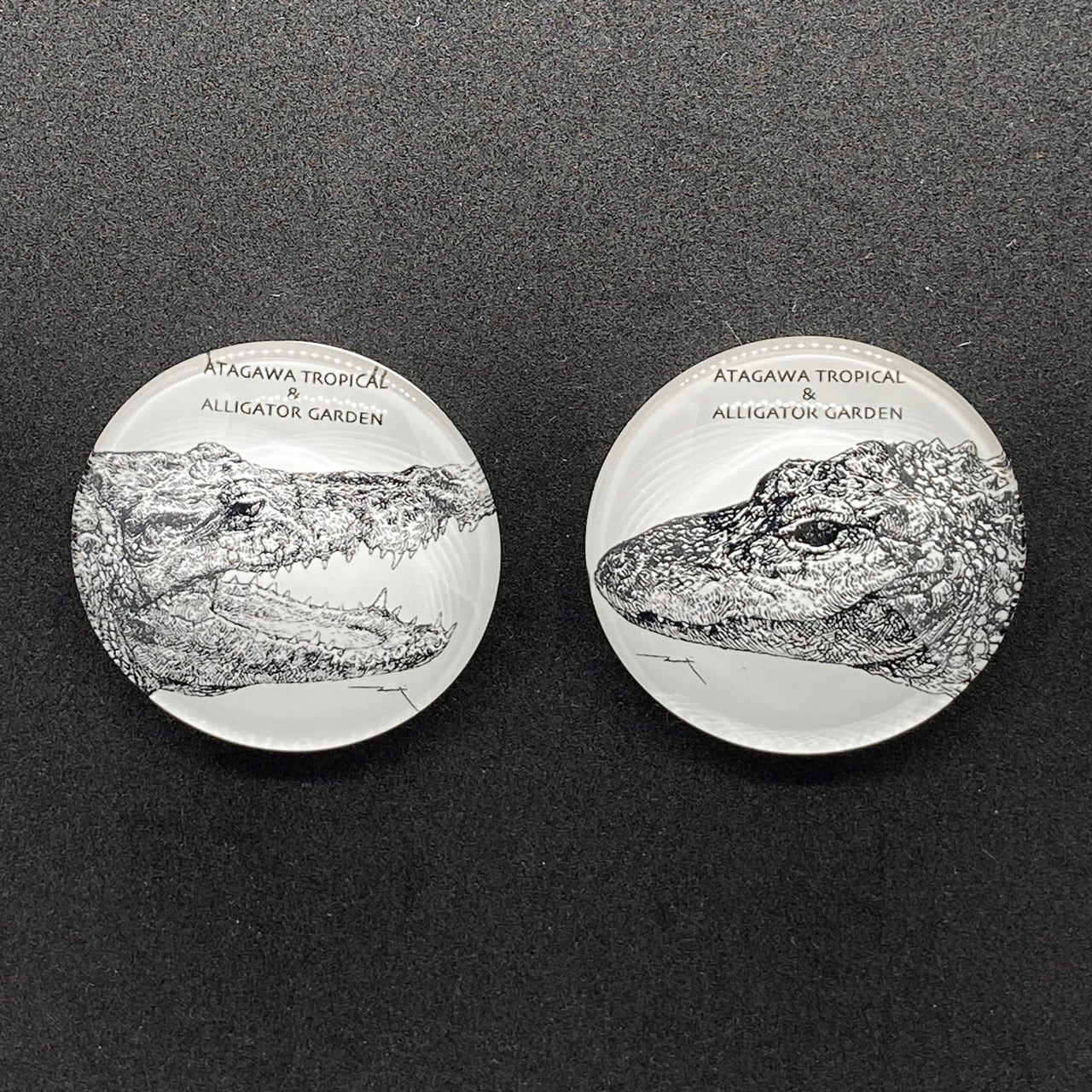 ワニの口のようなユニークなフォルム 水晶クラスター 二色共生・ベトナム産 94e70d74976d397441b0b8e3e1dc86