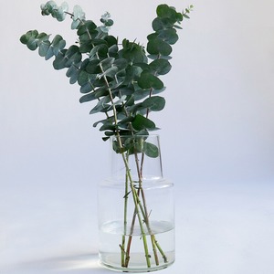 Recycle flower vase locate (Lsize)