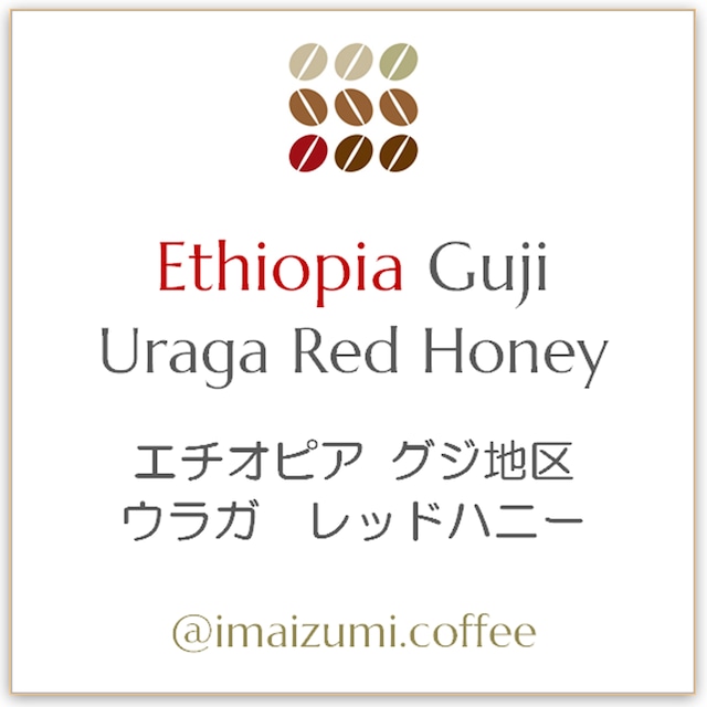 【送料込】エチオピア グジ地区 ウラガ レッドハニー - Ethiopia Guji  Uraga Red Honey - 300g(100g×3)