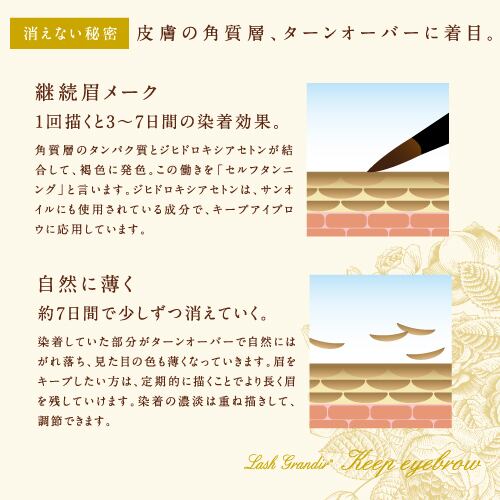キープアイブロウ キープアイブロウ(日本製) | cielbeaute
