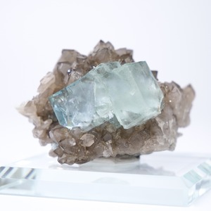 シャンファーリン産 フローライト スモーキークォーツ 共生 / 原石 標本【C_1】
