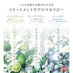 HERBNIC ハーブニック シャンプー&トリートメント　300ml