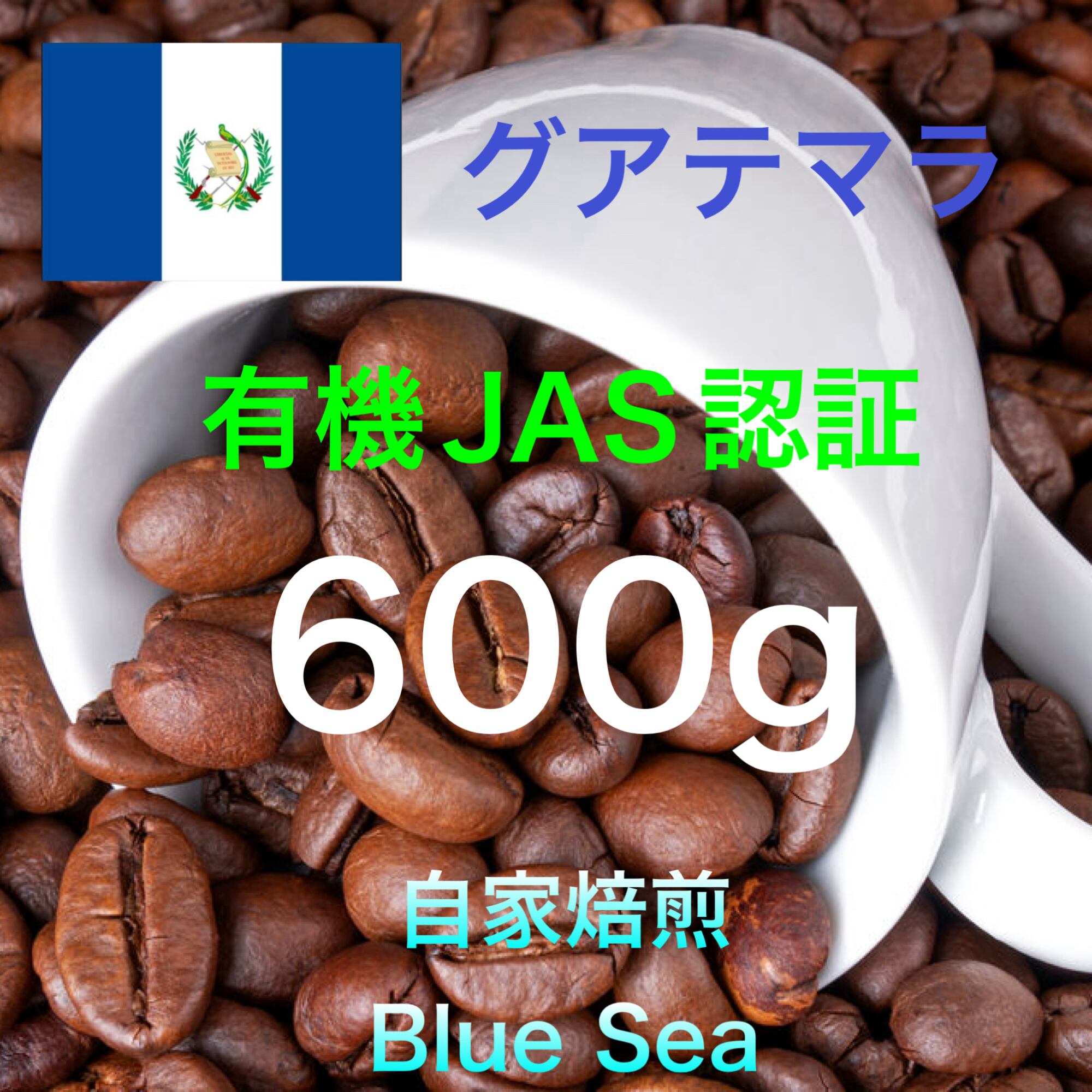 【コーヒー生豆】エチオピア産　有機JAS認証　イルガチェフェ G-4 4kg コーヒー生豆】エチオピア産 有機JAS認証 イルガチェフェ G-4 1kg | PAY ID