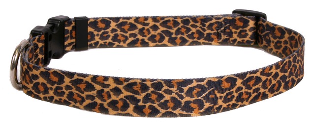 Leopard Skin  首輪＋リードセットMサイズ - Yellow Dog Design