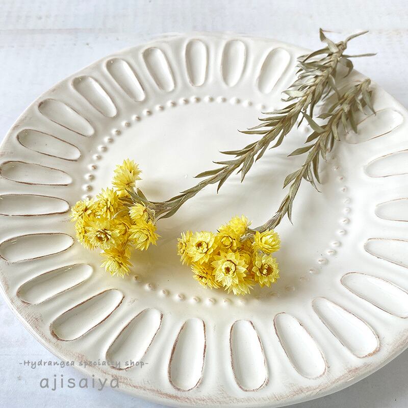 エバーラスティング スニージーズ ナチュラルイエロー ドライフラワー 自然素材こわけ専門店 あじさいや