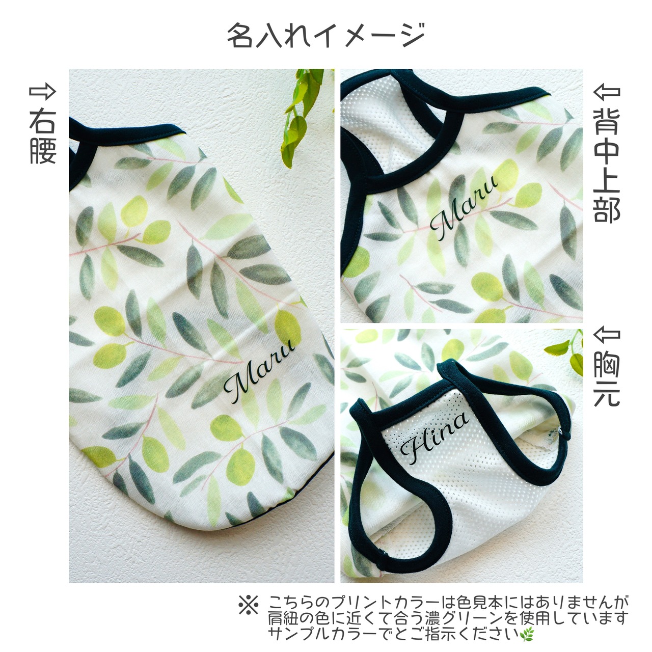 Oliveキャミソール