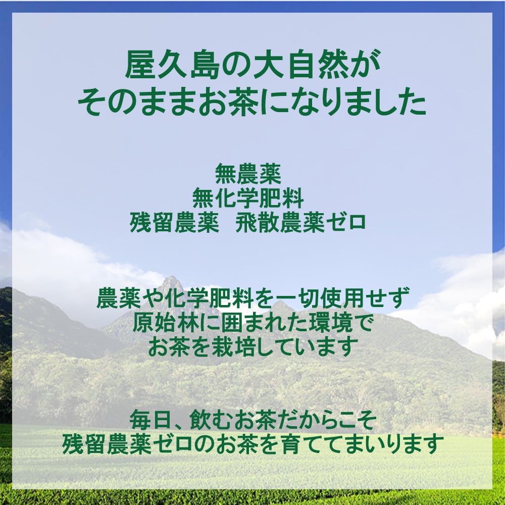 有機】粉末緑茶二番茶 120g×5袋《 私たちが作った”屋久島自然栽培茶