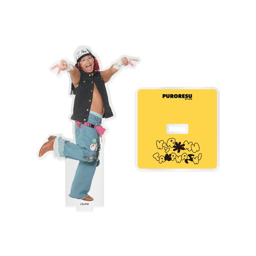 【受注販売・2月中旬お届け予定】PURORESU NYLON／高橋ヒロムコラボアクスタ