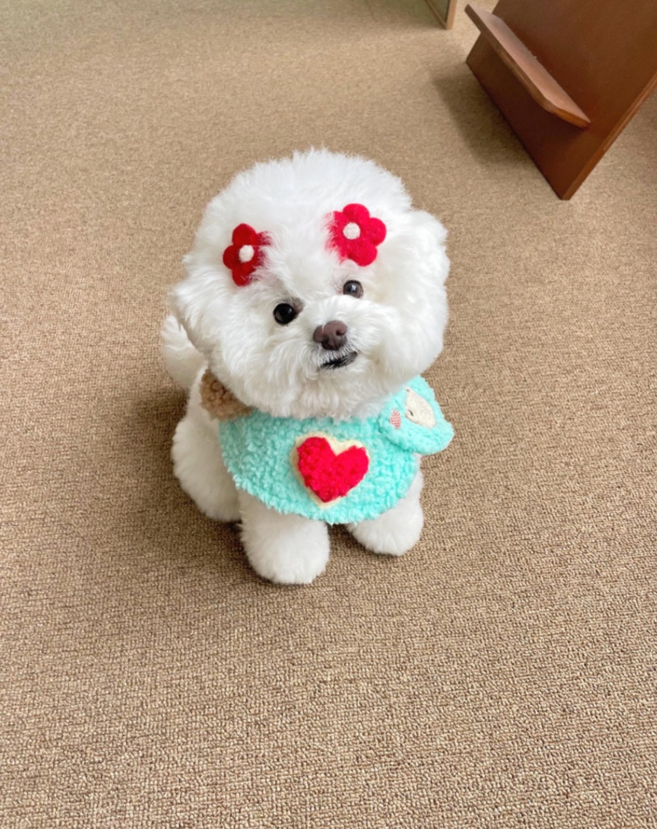 即納　【hugmemore 】tongtong flower hairpin red