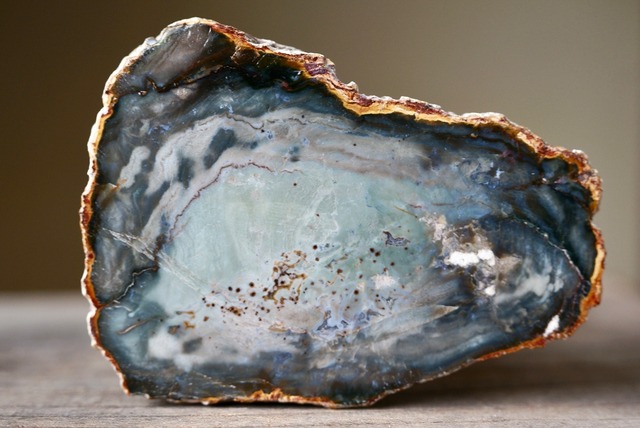 珪化木 Araucarioxylon A