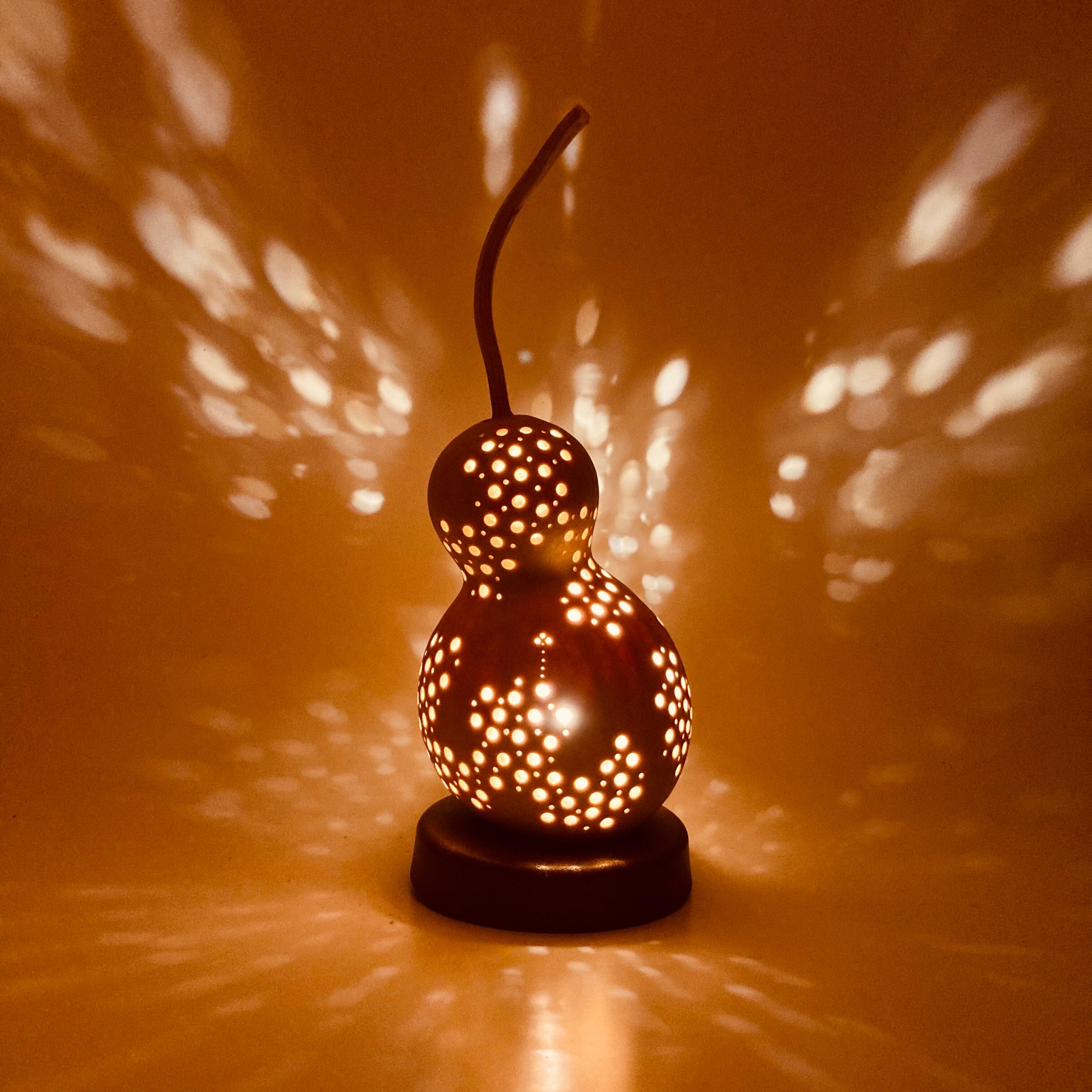 じゃごけランプ30