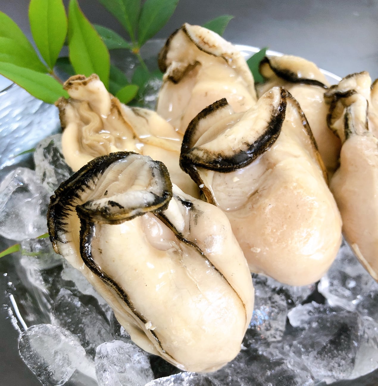 播磨灘産（はりまなだ）蒸し牡蠣 200g | Manma 天然無添加にこだわった