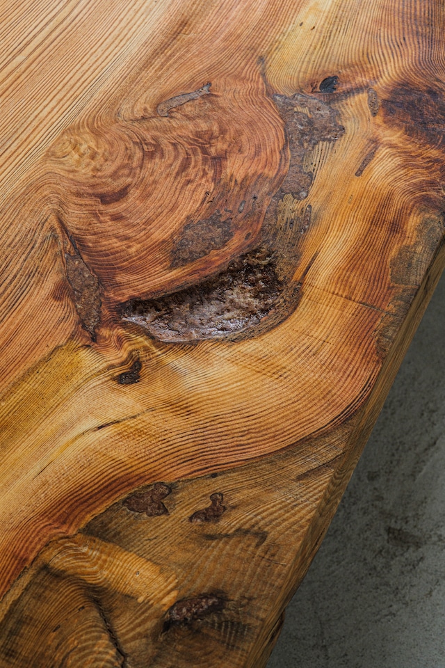 黒松(Black Pine)