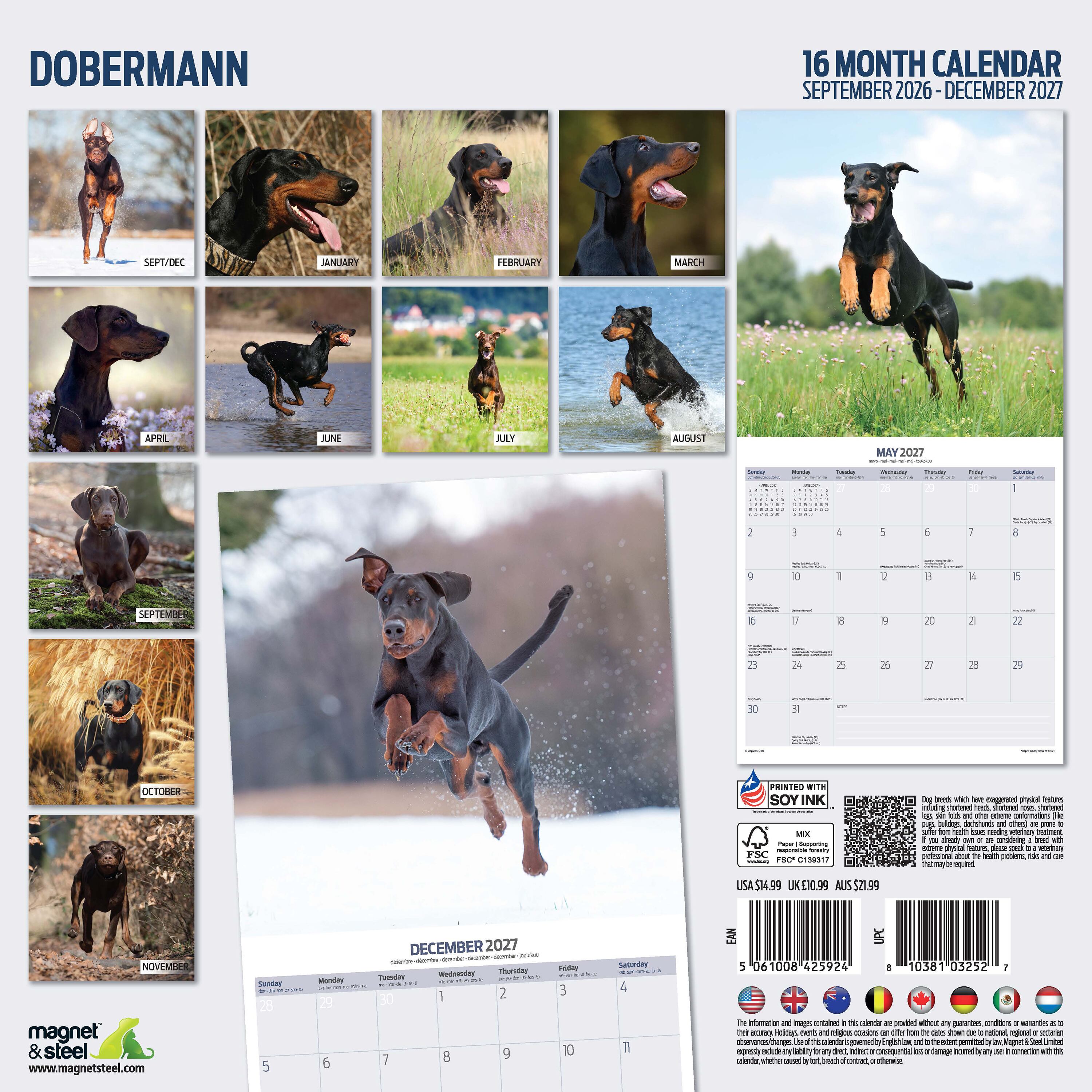 【2027年版】英国製犬種カレンダー【ドーベルマン】Traditional 2027年版