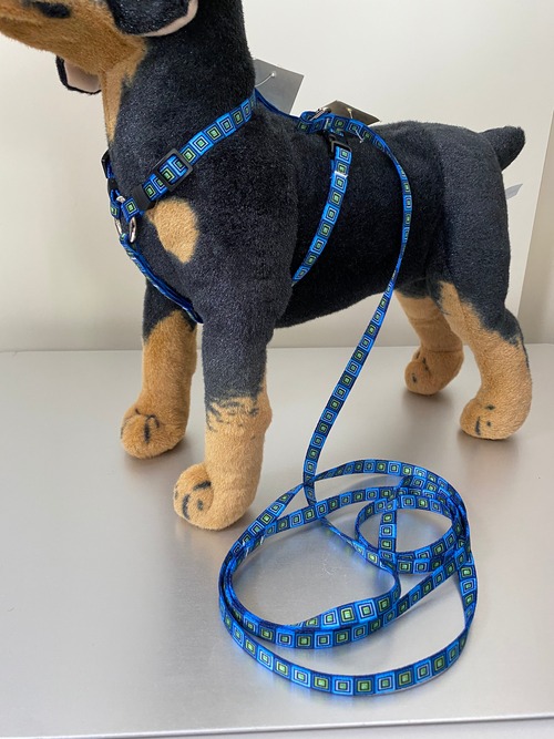 Blue Blocks  ローマンハーネス＋リードセット XSサイズ - Yellow Dog Design