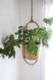ラタンハンギングバスケット