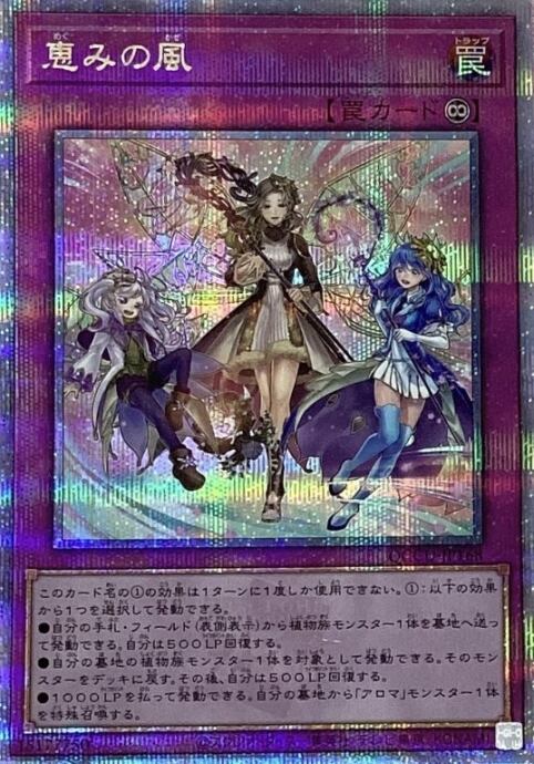 【美品】恵みの風(25th)