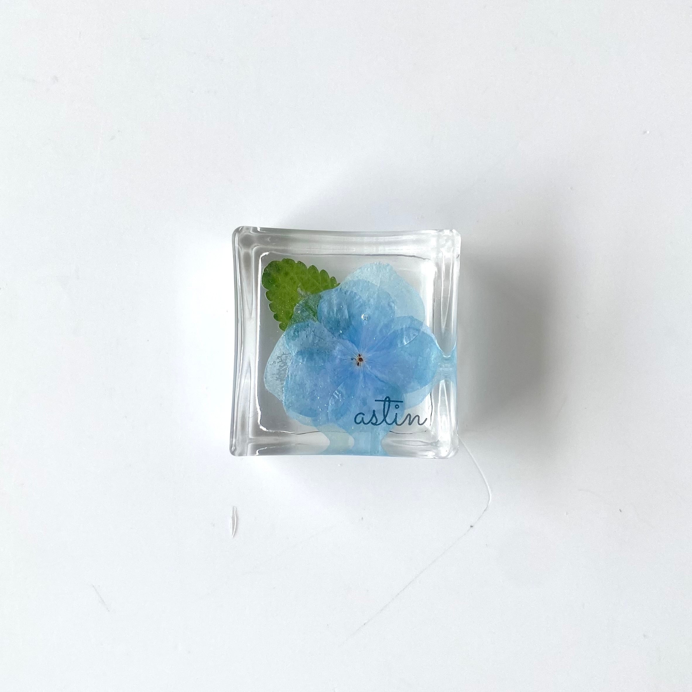 正方形】紫陽花（青）の箸置き | astin muhler | 押し花・押しフルーツ