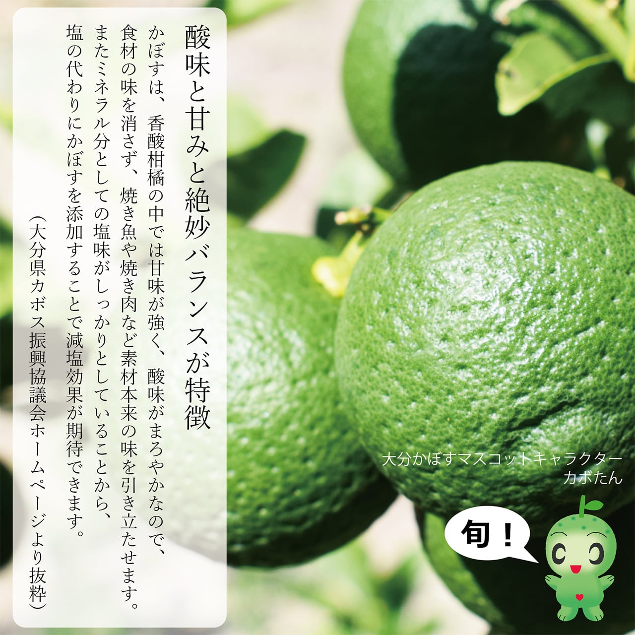 完熟かぼす 種無し含む カボス ☆農薬なし、露地もの 10キロ 10kg ☆その