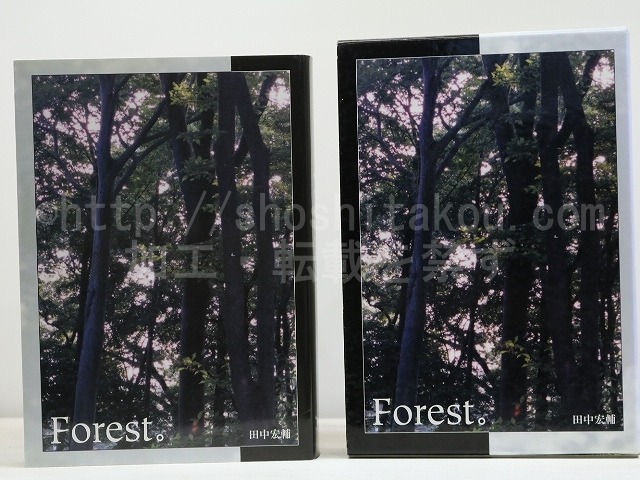Forest。　/　田中宏輔　　[31638]