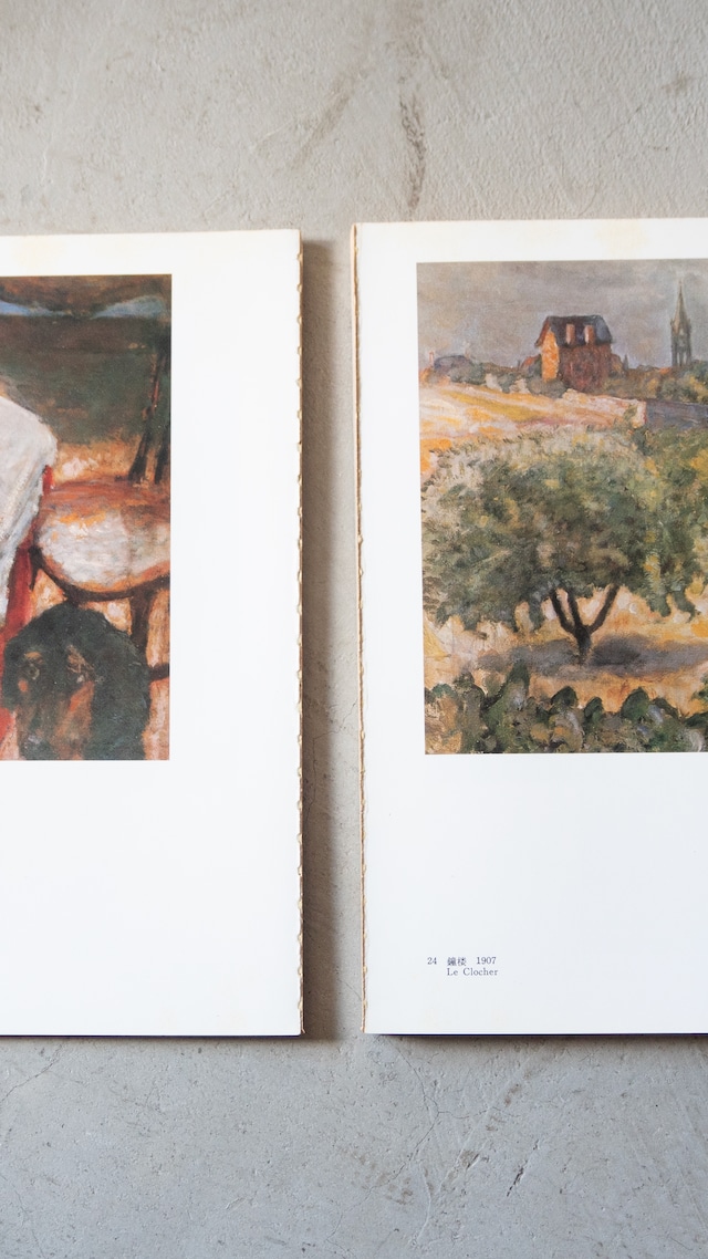 "PIERRE BONNARD" vintage Art book falling apart